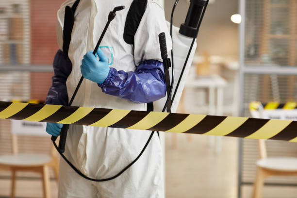 Professional Odor Removal technician working in Payson, IL